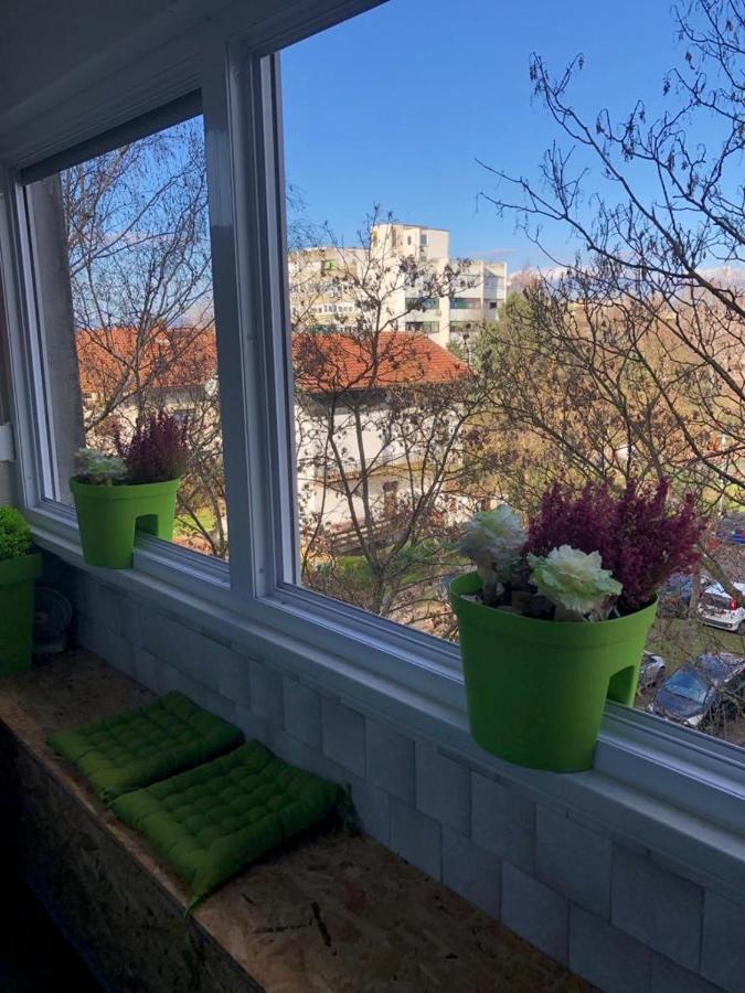 Ami-Go/ Blizu Zracne Luke Zagreb Apartamento Velika Gorica Exterior foto